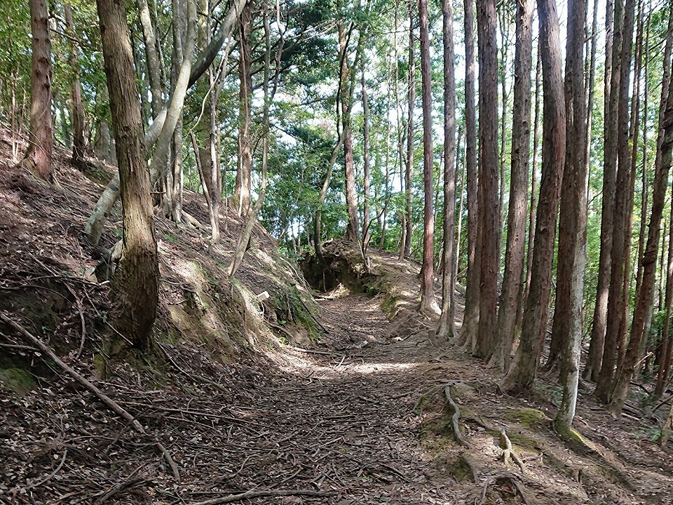 君井市加名盛の山林買取り