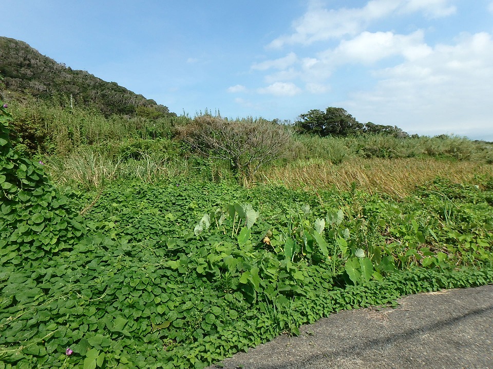 館山市伊戸の土地売却