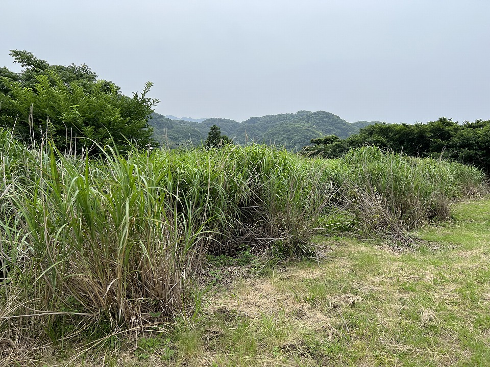 富津市金谷の土地売却