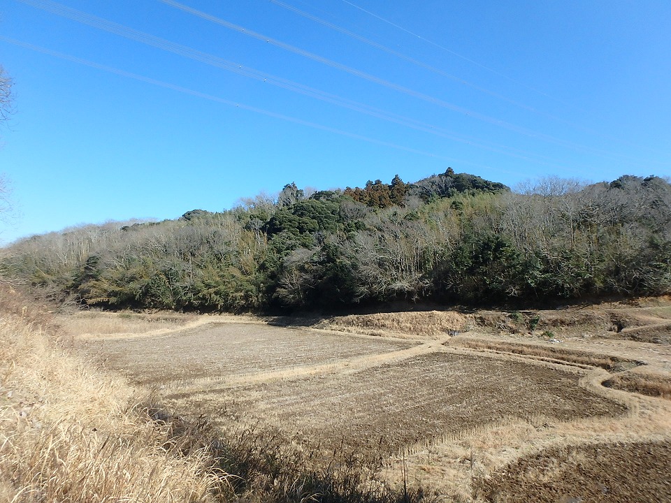 木更津市矢那の山林売却