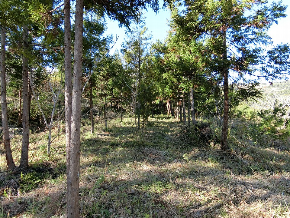 南房総市山田の1858坪山林　売却依頼