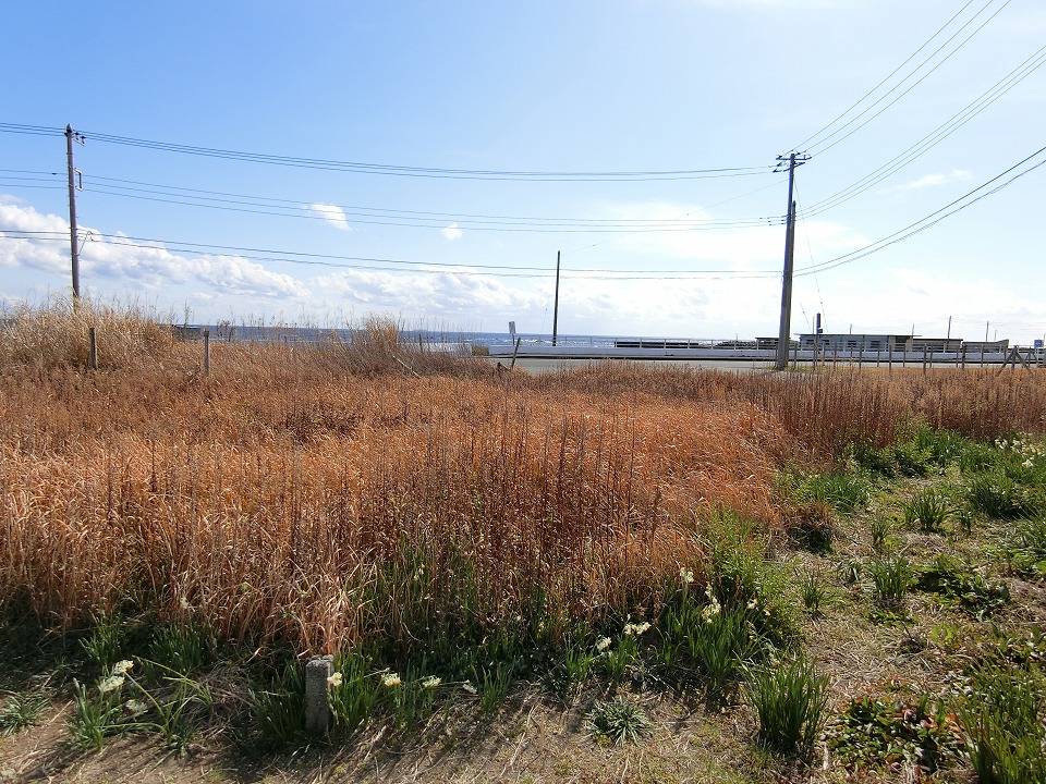 南房総市千倉町川口　36坪土地　売却相談