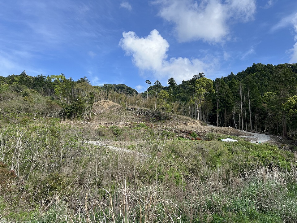 南房総市山田　3167坪土地（山林）　売却相談