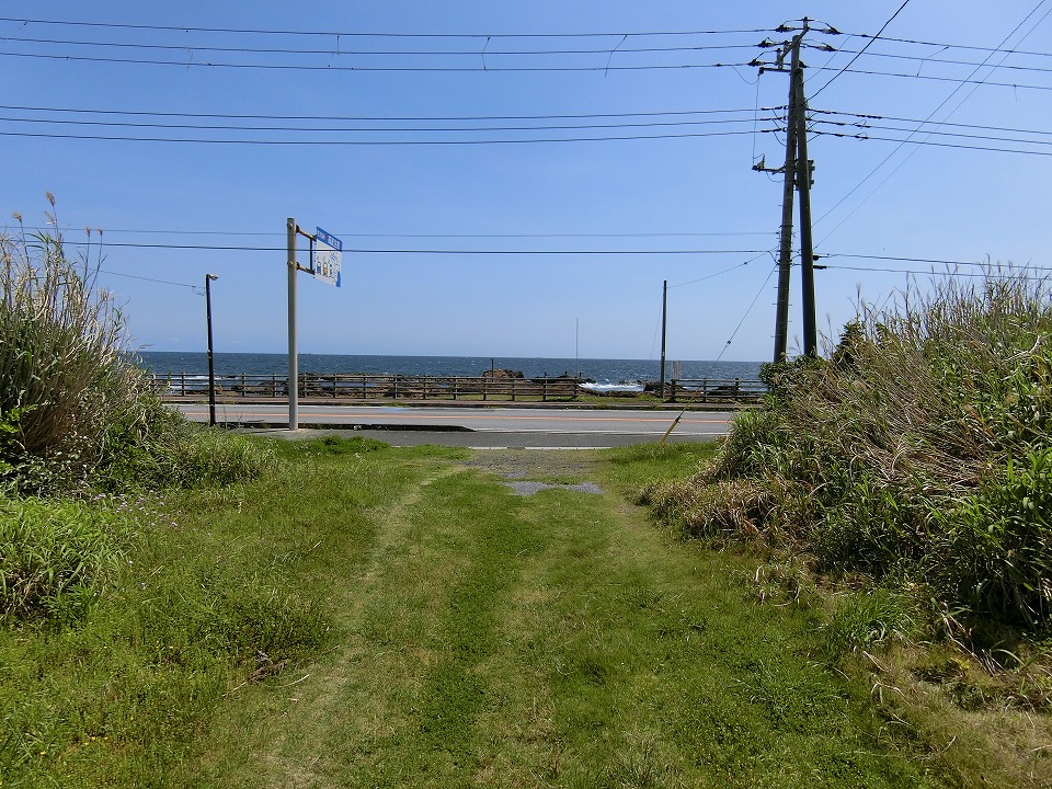  南房総市白浜町滝口　750坪　海前土地　売却相談