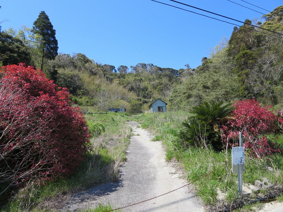 館山市正木の山林売却